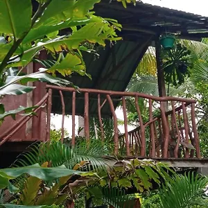 sigiri-panaromic-tree-house.kandyhotelsnow.com/